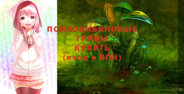 дурь Беломорск