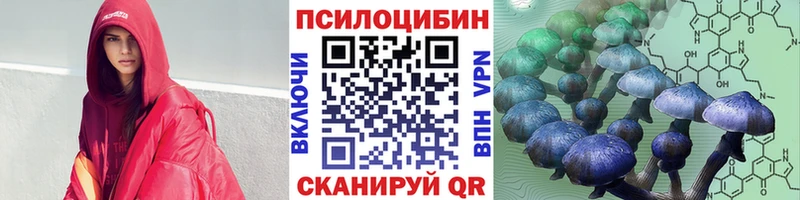 Купить закладки  Бабаево  Галлюциногенные грибы GOLDEN TEACHER 
